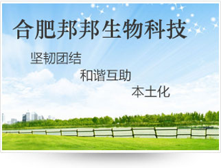 公司介紹